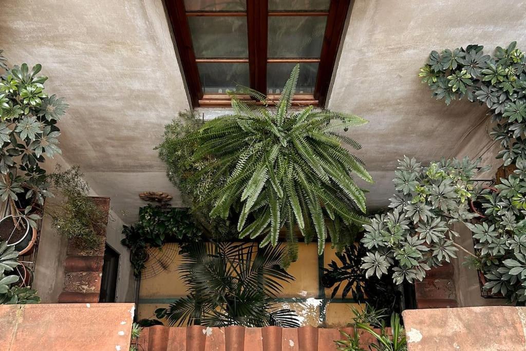 Santa Reparata Downtown Florence Ngoại thất bức ảnh